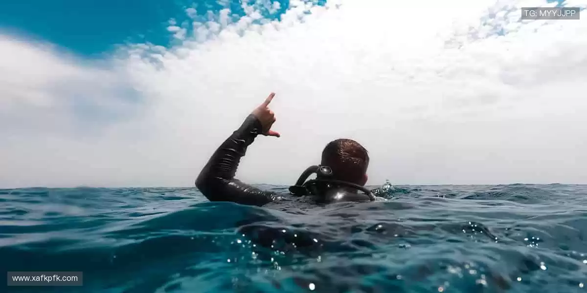 巅峰对决，用汗水书写传奇，你我共同见证🏀✨